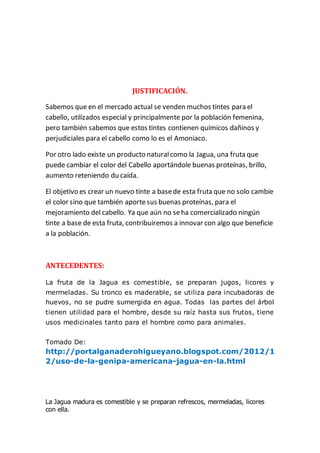 JUSTIFICACIÓN.
Sabemos que en el mercado actual se venden muchos tintes para el
cabello, utilizados especial y principalmente por la población femenina,
pero también sabemos que estos tintes contienen químicos dañinos y
perjudiciales para el cabello como lo es el Amoniaco.
Por otro lado existe un producto naturalcomo la Jagua, una fruta que
puede cambiar el color del Cabello aportándole buenas proteínas, brillo,
aumento reteniendo du caída.
El objetivo es crear un nuevo tinte a basede esta fruta que no solo cambie
el color sino que también aportesus buenas proteínas, para el
mejoramiento del cabello. Ya que aún no seha comercializado ningún
tinte a base de esta fruta, contribuiremos a innovar con algo que beneficie
a la población.
ANTECEDENTES:
La fruta de la Jagua es comestible, se preparan jugos, licores y
mermeladas. Su tronco es maderable, se utiliza para incubadoras de
huevos, no se pudre sumergida en agua. Todas las partes del árbol
tienen utilidad para el hombre, desde su raíz hasta sus frutos, tiene
usos medicinales tanto para el hombre como para animales.
Tomado De:
http://portalganaderohigueyano.blogspot.com/2012/1
2/uso-de-la-genipa-americana-jagua-en-la.html
La Jagua madura es comestible y se preparan refrescos, mermeladas, licores
con ella.
 