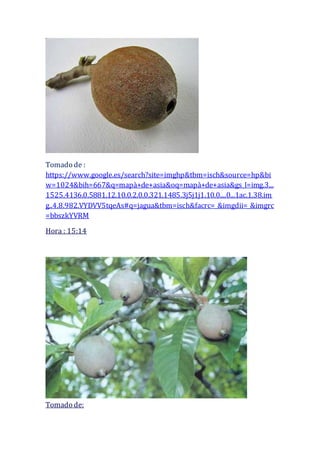 Tomado de :
https://www.google.es/search?site=imghp&tbm=isch&source=hp&bi
w=1024&bih=667&q=mapà+de+asia&oq=mapà+de+asia&gs_l=img.3...
1525.4136.0.5881.12.10.0.2.0.0.321.1485.3j5j1j1.10.0....0...1ac.1.38.im
g..4.8.982.VYDVV5tqeAs#q=jagua&tbm=isch&facrc=_&imgdii=_&imgrc
=bbszkYVRM
Hora : 15:14
Tomado de:
 