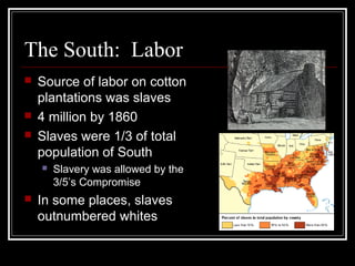 The South: Labor
 Source of labor on cotton
plantations was slaves
 4 million by 1860
 Slaves were 1/3 of total
population of South
 Slavery was allowed by the
3/5’s Compromise
 In some places, slaves
outnumbered whites
 