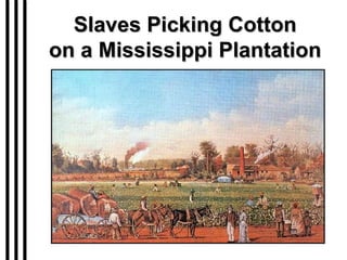Slaves Picking Cotton on a Mississippi Plantation 
