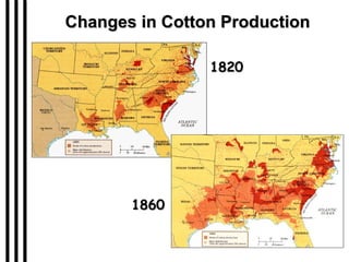 Changes in Cotton Production 1820 1860 