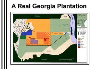 A Real Georgia Plantation 