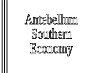Antebellum Southern Economy 