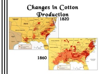 Changes in Cotton Production 1820 1860 