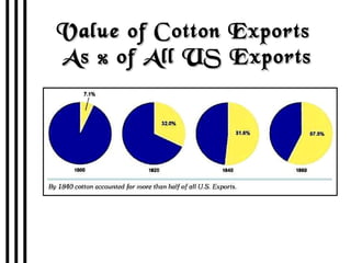 Value of Cotton Exports  As % of All US Exports 