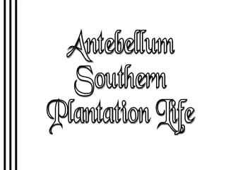 Antebellum Southern Plantation Life 