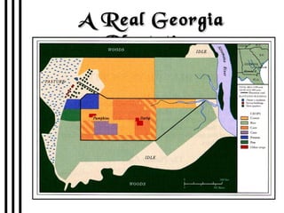 A Real Georgia Plantation 