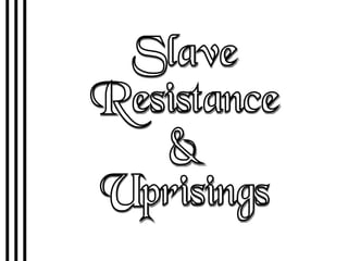 Slave Resistance & Uprisings 