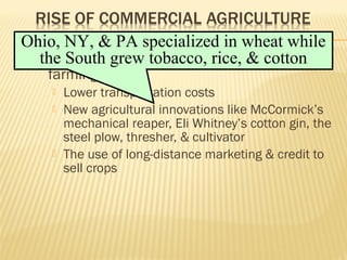 Ohio, NY, & PA specialized in wheat while 
the South grew tobacco, rice, & cotton 
 The antebellum era saw a boom in 
specialized, staple-crop, “commercial” 
farming due to: 
 Lower transportation costs 
 New agricultural innovations like McCormick’s 
mechanical reaper, Eli Whitney’s cotton gin, the 
steel plow, thresher, & cultivator 
 The use of long-distance marketing & credit to 
sell crops 
 