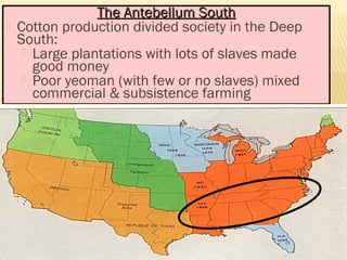 TThhee AAnntteebbeelllluumm SSoouutthh 
 Cotton production divided society in the Deep 
South: 
 Large plantations with lots of slaves made 
good money 
 Poor yeoman (with few or no slaves) mixed 
commercial & subsistence farming 
 