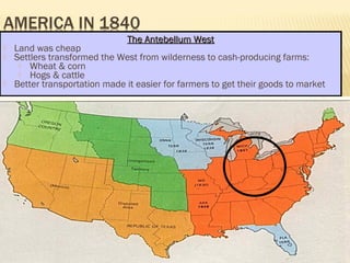 TThhee AAnntteebbeelllluumm WWeesstt 
 Land was cheap 
 Settlers transformed the West from wilderness to cash-producing farms: 
 Wheat & corn 
 Hogs & cattle 
 Better transportation made it easier for farmers to get their goods to market 
 