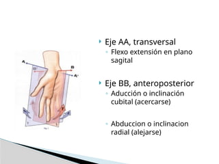  Eje AA, transversal
◦ Flexo extensión en plano
sagital
 Eje BB, anteroposterior
◦ Aducción o inclinación
cubital (acercarse)
◦ Abduccion o inclinacion
radial (alejarse)
 