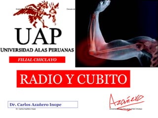 Anatomía y Fisiología I    Escuea de Enfermería - Ciclo II




    FILIAL CHICLAYO




      RADIO Y CUBITO
Dr. Carlos Azañero Inope
  Dr. Carlos Azañero Inope                                     Universidad Alas Peruanas-Filial Chiclayo