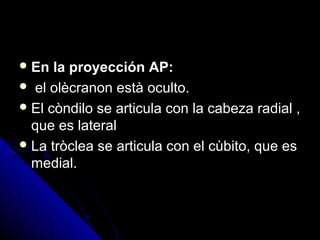  En la proyección AP:En la proyección AP:
 el olècranon està oculto.el olècranon està oculto.
 El còndilo se articula con la cabeza radial ,El còndilo se articula con la cabeza radial ,
que es lateralque es lateral
 La tròclea se articula con el cùbito, que esLa tròclea se articula con el cùbito, que es
medial.medial.
 