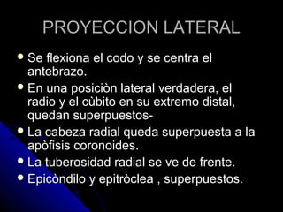 PROYECCION LATERALPROYECCION LATERAL
 Se flexiona el codo y se centra elSe flexiona el codo y se centra el
antebrazo.antebrazo.
 En una posiciòn lateral verdadera, elEn una posiciòn lateral verdadera, el
radio y el cùbito en su extremo distal,radio y el cùbito en su extremo distal,
quedan superpuestos-quedan superpuestos-
 La cabeza radial queda superpuesta a laLa cabeza radial queda superpuesta a la
apòfisis coronoides.apòfisis coronoides.
 La tuberosidad radial se ve de frente.La tuberosidad radial se ve de frente.
 Epicòndilo y epitròclea , superpuestos.Epicòndilo y epitròclea , superpuestos.
 
