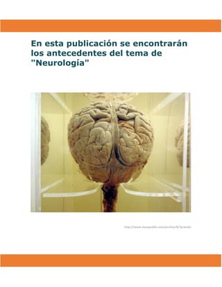 En esta publicación se encontrarán
los antecedentes del tema de
"Neurología"
http://www.morguefile.com/archive/#/?q=brain
 