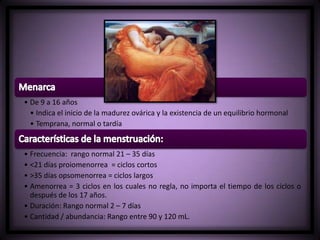 • De 9 a 16 años
• Indica el inicio de la madurez ovárica y la existencia de un equilibrio hormonal
• Temprana, normal o tardía
• Frecuencia: rango normal 21 – 35 días
• <21 días proiomenorrea = ciclos cortos
• >35 días opsomenorrea = ciclos largos
• Amenorrea = 3 ciclos en los cuales no regla, no importa el tiempo de los ciclos o
después de los 17 años.
• Duración: Rango normal 2 – 7 días
• Cantidad / abundancia: Rango entre 90 y 120 mL.
 