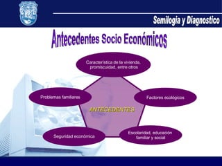 Semilogia y Diagnostico Antecedentes Socio Económicos ANTECEDENTES Característica de la vivienda, promiscuidad, entre otros Problemas familiares Factores ecológicos Seguridad económica Escolaridad, educación  familiar y social 