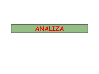ANALIZA
 