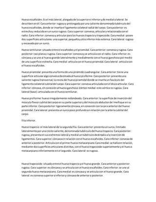 Huesoescafoides:Esel máslateral,alargadode lasuperiore inferioryde medial alateral.Se
describenenél:Caraanterior:rugosay prolongadaporuna saliente denominadatubérculodel
huesoescafoides,donde se insertael ligamentocolateral radial del carpo.Caraposterior:es
estrechay reducidaenunsurco rugoso.Cara superior:convexa,articularyrelacionadaconel
radio.Cara inferior:convexayarticularparalos huesostrapecioytrapezoide.Caramedial: posee
dos superficiesarticulares:unasuperior,pequeñayotrainferiormásextensa.Caralateral:rugosa
y excavadaporun surco.
Huesosemilunar:situadoentreel escafoidesyel piramidal.Caraanterior:convexayrugosa.Cara
posterior:casi planay rugosa.Cara superior:convexayse articulacon el radio.Cara inferior:es
cóncava y se une al huesogrande lateralmente ymedialmente conel huesoganchosopormedio
de una superficie estrecha.Caramedial:articulaconel huesopiramidal.Caralateral: articulacon
el huesoescafoides.
Huesopiramidal:presentaunaformade una pirámide cuadrangular. Caraanterior:tiene una
superficie articularalgoconvexadestinadaal huesopisiforme. Caraposterior:presentauna
saliente rugosatransversal,lacresta del huesopiramidal donde se insertaunfascículodel
ligamentocolateral cubitaldel carpo. Carasuperior:convexaarticuladaconel discoarticular. Cara
inferior:cóncava, enconexiónal huesoganchoso.Vértice medial:este vértice esrugoso. Cara
lateral (base):articuladaconel huesosemilunar.
Huesopisiforme:huesoirregularmente redondeado. Caraanterior:lasuperficie de insercióndel
músculoflexorcubital delcarpoensu parte superiorydel músculoabductordel meñique ensu
parte inferior. Caraposterior:ligeramentecóncava,enconexiónconlacara anteriordel hueso
piramidal. Caralateral:presentaunsurcopoco profundoenrelaciónconlaarteriacubital del
carpo.
Filainferior.
Huesotrapecio:el máslateral de la segundafila. Caraanterior:presentaunsurco,limitado
lateralmenteporunacresta saliente,denominadatubérculodelhuesotrapecio. Caraposterior:
rugosa,presentaensusextremoslateral ymedial untubérculodestinadoalainserciónde
ligamentos. Carasuperior:cóncavaenrelaciónconel huesoescafoides. Carainferior:convexade
anteriora posterior.Articulaconel primerhuesometacarpiano.Caramedial:se hallaenrelación,
mediante dossuperficiesarticularesdistintas,conel huesotrapezoide superiormente yel hueso
metacarpianoinferiormente enel segundo. Caralateral:esrugosa.
Huesotrapezoide:situadoentreel huesotrapecioyel huesogrande. Caraanterioryposterior:
rugosa. Cara superior:escóncavay se articulacon el huesoescafoides. Carainferior:se une al
segundohuesometacarpiano. Caramedial:escóncavay se articulacon el huesogrande. Cara
lateral:esconvexasuperiorainferiorycóncavade anteriora posterior.
 