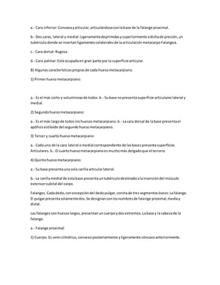 a.- Cara inferior:Convexayarticular,articulándoseconlabase de la falange proximal.
b.- Dos caras, lateral y medial:Ligeramentedeprimidasysuperiormente adichade presión,un
tubérculodonde se insertanligamentoscolateralesde laarticulaciónmetacarpoFalangica.
c.- Cara dorsal:Rugosa.
d.- Cara palmar:Está ocupadaen gran parte por la superficiearticular.
B) Algunascaracterísticaspropiasde cada huesometacarpiano.
1) Primerhuesometacarpiano:
a.- Es el más corto y voluminosode todos.b.- Subase nopresentasuperficie articulareslateral y
medial.
2) Segundohuesometacarpiano:
a.- Es el más largode todos loshuesosmetacarpiano.b.- Lacara dorsal de labase presentael
apófisisestiloide delsegundohuesometacarpiano.
3) Tercer y cuarto huesometacarpiano:
a.- Cadauno de la cara lateral omedial correspondiente de lasbasespresentasuperficies
Articulares.b.- El cuartohuesometacarpianoesmuchomás delgadoque el tercero.
4) Quintohuesometacarpiano:
a.- Subase presentaunasola carillaarticularlateral.
b.- La carillamedial de estabase presentauntubérculodestinadoalainsercióndel músculo
extensorcubital del carpo.
Falanges. Cadadedo,conexcepcióndel dedopulgar,constade tressegmentosóseos:Lafalange.
El pulgarpresentasolamentedos.Se designanconlosnombresde falange proximal,mediay
distal.
Las falanges sonhuesoslargos,presentanuncuerpoydosextremos:Labase y la cabezade la
falange.
a.- Falange proximal:
1) Cuerpo:Es semi cilíndrico,convexoposteriormente yligeramente cóncavoanteriormente.
 