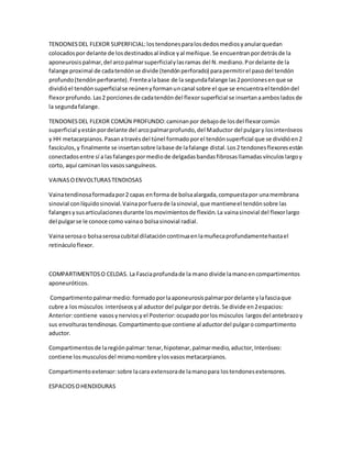 TENDONESDEL FLEXOR SUPERFICIAL:lostendonesparalosdedosmediosyanularquedan
colocadospor delante de losdestinadosal índice yal meñique.Se encuentranpordetrásde la
aponeurosispalmar,del arcopalmarsuperficialylasramas del N.mediano.Pordelante de la
falange proximal de cadatendónse divide (tendónperforado) parapermitirel pasodel tendón
profundo(tendónperforante).Frentealabase de la segundafalange las2porcionesenque se
dividióel tendónsuperficialse reúnenyformanuncanal sobre el que se encuentrael tendóndel
flexorprofundo.Las2 porcionesde cadatendóndel flexorsuperficial se insertanaambosladosde
la segundafalange.
TENDONESDEL FLEXOR COMÚN PROFUNDO:caminanpor debajode losdel flexorcomún
superficial yestánpordelante del arcopalmarprofundo,del Maductor del pulgary losinteróseos
y HH metacarpianos.Pasanatravésdel túnel formadoporel tendónsuperficial que se dividióen2
fascículos,y finalmente se insertansobre labase de lafalange distal.Los2 tendonesflexoresestán
conectadosentre sí a lasfalangespormediode delgadasbandasfibrosasllamadasvínculoslargoy
corto, aquí caminanlosvasossanguíneos.
VAINASOENVOLTURASTENDIOSAS
Vainatendinosaformadapor2 capas enforma de bolsaalargada,compuestapor unamembrana
sinovial conlíquidosinovial.Vainaporfuerade lasinovial,que mantieneel tendónsobre las
falangesysusarticulacionesdurante losmovimientosde flexión.La vainasinovial del flexorlargo
del pulgarse le conoce como vainao bolsasinovial radial.
Vainaserosao bolsaserosacubital dilatacióncontinuaenlamuñecaprofundamentehastael
retináculoflexor.
COMPARTIMENTOSO CELDAS. La Fasciaprofundade la mano divide lamanoencompartimentos
aponeuróticos.
Compartimentopalmarmedio:formadoporlaaponeurosispalmarpordelante ylafasciaque
cubre a losmúsculos interóseosyal aductor del pulgarpor detrás.Se divide en2espacios:
Anterior:contiene vasosynerviosyel Posterior:ocupadoporlosmúsculos largosdel antebrazoy
sus envolturastendinosas.Compartimentoque contiene al aductordel pulgarocompartimento
aductor.
Compartimentosde laregiónpalmar:tenar,hipotenar,palmarmedio,aductor,Interóseo:
contiene losmusculosdel mismonombre ylosvasosmetacarpianos.
Compartimentoextensor:sobre lacara extensorade lamanopara lostendonesextensores.
ESPACIOSOHENDIDURAS
 