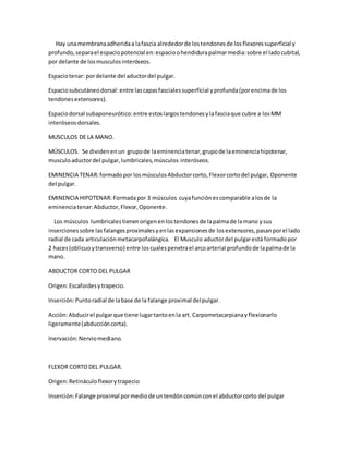 Hay unamembranaadheridaa lafascia alrededorde lostendonesde losflexoressuperficial y
profundo,separael espaciopotencial en:espacioohendidurapalmarmedia:sobre el ladocubital,
por delante de losmusculosinteróseos.
Espaciotenar: pordelante del aductordel pulgar.
Espaciosubcutáneodorsal: entre lascapasfascialessuperficial yprofunda(porencimade los
tendonesextensores).
Espaciodorsal subaponeurótico:entre estoslargostendonesylafasciaque cubre a losMM
interóseosdorsales.
MUSCULOS DE LA MANO.
MÚSCULOS. Se dividenenun grupode laeminenciatenar,grupode laeminenciahipotenar,
musculoaductordel pulgar,lumbricales,músculos interóseos.
EMINENCIA TENAR:formadopor losmúsculosAbductorcorto,Flexorcortodel pulgar, Oponente
del pulgar.
EMINENCIA HIPOTENAR: Formadapor 3 músculos cuyafunciónescomparable alosde la
eminenciatenar:Abductor,Flexor,Oponente.
Los músculos lumbricalestienenorigenenlostendonesde lapalmade lamano ysus
insercionessobre lasfalangesproximalesyenlasexpansionesde losextensores,pasanporel lado
radial de cada articulaciónmetacarpofalángica. El Musculo aductordel pulgarestá formadopor
2 haces(oblicuoytransverso) entre loscualespenetrael arcoarterial profundode lapalmade la
mano.
ABDUCTOR CORTO DEL PULGAR
Origen:Escafoidesytrapecio.
Inserción:Puntoradial de labase de la falange proximal delpulgar.
Acción:Abducirel pulgarque tiene lugartantoenla art. Carpometacarpianayflexionarlo
ligeramente(abduccióncorta).
Inervación:Nerviomediano.
FLEXOR CORTODEL PULGAR.
Origen:Retináculoflexorytrapecio
Inserción:Falange proximal pormediode untendóncomúnconel abductorcorto del pulgar
 