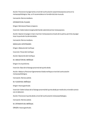 Acción:Flexionarel pulgartantoanivel de laarticulacióncarpometacarpianacomoenla
metacarpofalángica.Hay unH sesamoideoenel tendónde éste musculo.
Inervación:Nerviomediano.
OPONENTEDEL PULGAR.
Origen:Retináculoflexorytrapecio
Inserción:Sobre todalalongituddel borde radial del primermetacarpiano.
Acción:Oponerel pulgaro traer el primermetacarpianoatravésde la palma;permite al pulgar
tocar la puntade losdemásdedos.
Inervación:Nerviomediano.
MÚSCULOS HIPOTENARES
Origen:Abductordel meñique
Inserción:Flexordel meñique
Acción:Oponente del meñique.
M. ABDUCTORDEL MEÑIQUE
Origen:En el pisiforme.
Inserción.Base de lafalange proximal del quintodedo.
Acción.Abduciryflexionarligeramenteel dedomeñiqueanivel de laarticulación
metacarpofalángica
Inervación.Nerviocubital.
M. FLEXORDEL MEÑIQUE
Origen:Huesoganchudo.
Inserción:Sobre labase de la falange proximaldel quintodedopormediode untendóncomún
con el abductor.
Acción:Flexionarel quintodedoanivel de laarticulaciónmetacarpofalángica.
Inervación.Nerviocubital.
M. OPONENTEDEL MEÑIQUE.
ORIGEN: Huesoganchudo.
 
