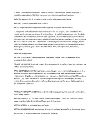 la mano.Terminadandoramas para loshacesoblicuoy transversodel aductordel pulgar.El
cubital inervaatodos losMM de la mano que no recibeninervacióndel mediano.
Radial:lacara posteriorde lamano recibe al nervioradial porsu regiónlateral.
ARTERIAS. Terminaciones de laradial ycubital.
RADIAL:Llegaal espaciocomprendidoentreel primerysegundometacarpianos.
El arco palmar profundose formamediante launiónconunapequeñaramaprocedente de la
cubital,quedacolocadopordelante de losinteróseosyde losHH metacarpianos,ypor detrásde
lostendonesdel flexorcomúnprofundoydel superficial yde loslumbricalesque se insertanen
ellos;estácolocadoproximalmente enrelación al superficial yse acompañapor larama profunda
del nervio cubital. Ramasde laArteriaradial enmuñecay mano:Palmar radial del carpo,Palmar
superficial,Dorsal del carpo, Dorsal del metacarpoydigital dorsal,Primeradorsal del metacarpo,
Arteriaprincipal del pulgar,Arterialateral del índice.Arcopalmarprofundo,Recurrente,
Perforante.
Metacarpianaspalmares.
PALMAR RADIALDEL CARPO:forma el arco anteriordel carpoal unirse a una rama similar
procedente de lacubital.
PALMAR SUPERFICIAL:desciende atravésde laarticulaciónde la muñecaypasa por encimade los
MM de laeminenciatenar.
RAMA DORSALDEL CARPO:formael arco dorsal del carpoy una red similarala que procede de la
A cubital;a estaredcontribuye tambiénlaA interóseaanterior.3AA metacarpianasdorsales
relativamente delgadasse originande éstaredy transcurrendistalmentesobre losMMinteróseos
dorsales2,3 y 4 para bifurcarse enseguidayoriginarramasdigitalesdorsalesparalascaras
vecinasde losdedosmedioanularymeñique.Se anastomosanconlasramas digitalespalmares
del arco palmarsuperficial.
PRIMERA A METACARPIANODORSAL:se divide en2ramas que irriganlascaras adyacentesde los
dedospulgare índice.
ARTERIA PRINCIPALDEL PULGAR: nace de laradial,se divide en2 ramas que continúanhaciael
pulgarenambos ladosdel tendóndel flexorlargode éste dedo.
ARTERIA LATERAL: se originadel arco profundo.
ARCOPALMAR PROFUNDO:continuaciónde laarteria radial enla mano.Tiene 3 gruposde ramas:
Recurrentes:se anastomosanconel arco anteriordel carpo.
 