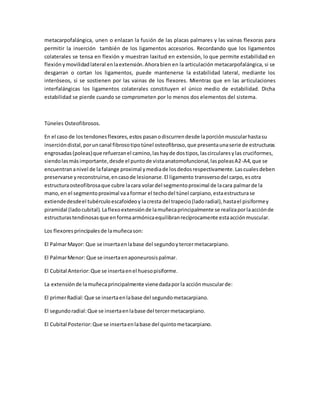 metacarpofalángica, unen o enlazan la fusión de las placas palmares y las vainas flexoras para
permitir la inserción también de los ligamentos accesorios. Recordando que los ligamentos
colaterales se tensa en flexión y muestran laxitud en extensión, lo que permite estabilidad en
flexiónymovilidadlateral enlaextensión.Ahorabien en la articulación metacarpofalángica, si se
desgarran o cortan los ligamentos, puede mantenerse la estabilidad lateral, mediante los
interóseos, si se sostienen por las vainas de los flexores. Mientras que en las articulaciones
interfalángicas los ligamentos colaterales constituyen el único medio de estabilidad. Dicha
estabilidad se pierde cuando se comprometen por lo menos dos elementos del sistema.
Túneles Osteofibrosos.
En el caso de lostendonesflexores,estos pasanodiscurrendesde laporciónmuscularhastasu
insercióndistal,poruncanal fibrosotipotúnel osteofibroso,que presentaunaserie de estructuras
engrosadas(poleas)que refuerzanel camino,lashayde dostipos,lascircularesylas cruciformes,
siendolasmásimportante,desde el puntode vistaanatomofuncional,laspoleasA2-A4,que se
encuentrananivel de lafalange proximal ymediade losdedosrespectivamente.Lascualesdeben
preservarse yreconstruirse,encasode lesionarse.El ligamento transversodel carpo,esotra
estructuraosteofibrosaque cubre lacara volardel segmentoproximal de lacara palmarde la
mano,en el segmentoproximal vaaformar el techodel túnel carpiano,estaestructurase
extiendedesdeel tubérculoescafoideoy lacresta del trapecio(ladoradial),hastael pisiformey
piramidal (ladocubital).Laflexoextensiónde lamuñecaprincipalmente se realizaporlaacciónde
estructurastendinosasque enformaarmónicaequilibranrecíprocamente estaacciónmuscular.
Los flexoresprincipalesde lamuñecason:
El PalmarMayor: Que se insertaenlabase del segundoytercermetacarpiano.
El PalmarMenor: Que se insertaenaponeurosispalmar.
El Cubital Anterior:Que se insertaenel huesopisiforme.
La extensiónde lamuñecaprincipalmente vienedadaporla acciónmuscularde:
El primerRadial:Que se insertaenlabase del segundometacarpiano.
El segundoradial:Que se insertaenlabase del tercermetacarpiano.
El Cubital Posterior:Que se insertaenlabase del quintometacarpiano.
 