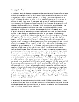 Neurologíade laMano
La manotiene básicamentetresfuncionesparasucabal funcionamiento,estassonlaflexiónde los
dedos,laextensiónde losdedos,ylaoponenciadel pulgar.Paracumplirestasfuncioneslamano
necesitaunbuenmotorneurológicoque le proveamovilidadysensibilidadadecuada,estose
cumple porla acciónde losnerviosradial,medianoycubital principalmente. El nervioradial se
originaenel cordónposteriordel plexobraquial,vadescendiendoposteriormente hacia el
húmero,colocándose debajodel supinadorlargo,sobre lacara internadel brazo,porencimadel
codo da ramas al supinadorlargo.En el codo va a dividirse enunaramasuperficial radial,yuna
rama llamadaínter óseoposterior,que daunarama al músculosupinadorcorto.La rama
superficial delradial,inervaráal primeroysegundoradial,continuaráalolargode la cara externa
de la muñeca,inervandolapiel de laporciónexternadel dorsode lamano.El nerviointeróseo
posteriorinervaráal abductorlargodel pulgar,extensorcortodel pulgar,extensorlargodel
pulgar,extensorcomúnde losdedos,extensorpropiodel índice,extensorpropiodel meñique,y
cubital posterior.Nerviomedianose vaa originarde loscordoneslateral ymedial del plexo
braquial,desciende juntoalaarteriahumeral yse divide enlaporciónproximal del ante brazo
cerca del músculopronadorredondo,dandodosramas,el nervioInteróseoanterior,que inervará
al flexorlargodel pulgar,al flexorprofundodel dedoíndice ydedomedioyal músculopronador
cuadrado.La rama principal del nerviomediano,que desciende verticalmentedetrásdel flexor
superficial de losdedos,se colocapordebajodel retináculoflexor(ligamentopalmarde la
muñeca) este cubiertoporel arco palmarsuperficial ylaaponeurosispalmar,el nerviomediano
descansarásobre losflexoresde losdedos;al ingresarala mano,al nivel del canal carpiano,dará
dos ramasuna externayotra interna.La rama externa(ramatenar),se dirigiráala base de la
eminenciatenare inervaráal oponente delpulgar,abductordel pulgar,yflexorcortodel pulgar.
La rama internadarácinco colateralesalosdedos,donde el 1er.Y 2do. colateral se dirigiránala
cara radial y cubital del pulgarrespectivamente,el 3er.colateral ala cara radial del índice,e
inervandoal primerlumbrical.El 4to.Colateral inervaráalacara cubital del índice ycara radial del
dedomedio,tambiéninervandoel segundomúsculolumbrical.El 5to.Colateral inervarálacara
cubital del dedomedioya lacara radial del dedoanular.El nerviocubital se originaenel plexo
braquial,anivel de loscordoneslateral ymedio,desciende del brazoenlacara internay al llegar
al cododesciende entre el flexorsuperficial de losdedosyel músculocubital anterior,dandouna
rama al mismo(cubital anterior) yal flexorprofundodel dedoanularymeñique.Al llegarala
muñecase coloca delante del retináculoflexorcubiertoporlaaponeurosissuperficial ypordetrás
de la arteriacubital, pasandopor lacara externadel pisiforme ( Canal de Guyon),dividiéndose en
dos ramas,una superficial yotraprofunda.
La rama superficial,dapequeñasramificacionesdestinadasal músculopalmarcutáneo,yala piel
de la regióninternade lapalma, se bifurcaendos nervioscolateralespalmares,el primercolateral
palmarva a inervarel ladocubital del meñique yel segundocubitalpalmarse distribuye enlacara
radial del meñique,ycara cubital del dedoanular.
 