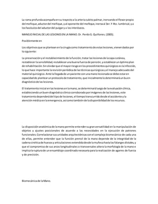 La rama profundaacompañaensu trayectoa la arteriacubitopalmar,inervandoel flexorpropio
del meñique,aductordel meñique,yal oponente del meñique,inervaal 3er.Y 4to. lumbrical,ya
losfascículosdel aductordel pulgary a losinteróseos.
MANEJOINICIALDE LAS LESIONESEN LA MANO.Dr. PerdoG. Quiñones.(2005).
Posiblemente en
Los objetivosque se planteanenlacirugíacomo tratamientode estaslesiones,vienendadospor
losiguiente:
La preservaciónyel restablecimientode lafunción,tratar laslesionesde lacapa cutánea,
restablecerlasensibilidad,restablecerunabuenafuerzade pensión,yestablecerunóptimoplan
de rehabilitación.Sinolvidarque el mayorriesgoenlosprocedimientosquirúrgicoseslainfección,
loque hace importante larevisiónperiódicade lastécnicasquirúrgicasyel manejoadecuadodel
material quirúrgico.Ante lallegadade unpaciente conunamano lesionadase debe estaren
capacidadde plantearunprotocolode tratamiento,que inicialmentelodeterminaráunbuen
diagnósticode laslesiones.
El tratamientoinicial enlaslesionesenlamano,se determinaráluegode laevaluaciónclínica,
estableciendounbuendiagnósticoclínicocorroboradoporimágenesde laslesiones,este
tratamientodependerádel tipode lesiones,el tiempotranscurridodesde elaccidente yla
atenciónmédicaenlaemergencia,asícomotambiénde ladisponibilidadde losrecursos.
La disposiciónanatómicade lamanopermite entendersugranversatilidad en la manipulación de
objetos y ajustes posicionales de acuerdo a las necesidades en la ejecución de patrones
funcionales.Correlacionarsusunidades arquitectónicasconel complejo biomecánico de cada una
de ellas, permite entender que la función prensil de la mano depende de la integridad de la
cadenacinéticade huesosy articulacionesextendidadesdelamuñecahastalasfalangesdistales,y
que el compromiso de sus arcos longitudinales o transversales altera la morfología de la mano e
implicalarupturade unensamblaje coordinadonecesarioparala realización de agarres de fuerza
y de precisión.
Biomecánicade laMano.
 