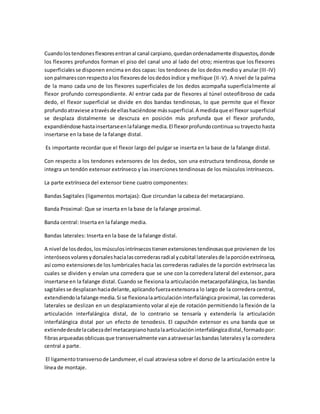 Cuandolostendonesflexoresentranal canal carpiano,quedanordenadamente dispuestos,donde
los flexores profundos forman el piso del canal uno al lado del otro; mientras que los flexores
superficialesse disponen encima en dos capas: los tendones de los dedos medio y anular (III-IV)
son palmaresconrespectoalos flexoresde losdedosíndice y meñique (II-V). A nivel de la palma
de la mano cada uno de los flexores superficiales de los dedos acompaña superficialmente al
flexor profundo correspondiente. Al entrar cada par de flexores al túnel osteofibroso de cada
dedo, el flexor superficial se divide en dos bandas tendinosas, lo que permite que el flexor
profundoatraviese atravésde ellashaciéndose mássuperficial.A medidaque el flexor superficial
se desplaza distalmente se descruza en posición más profunda que el flexor profundo,
expandiéndose hastainsertarseenlafalange media.El flexorprofundocontinua su trayecto hasta
insertarse en la base de la falange distal.
Es importante recordar que el flexor largo del pulgar se inserta en la base de la falange distal.
Con respecto a los tendones extensores de los dedos, son una estructura tendinosa, donde se
integra un tendón extensor extrínseco y las inserciones tendinosas de los músculos intrínsecos.
La parte extrínseca del extensor tiene cuatro componentes:
Bandas Sagitales (ligamentos mortajas): Que circundan la cabeza del metacarpiano.
Banda Proximal: Que se inserta en la base de la falange proximal.
Banda central: Inserta en la falange media.
Bandas laterales: Inserta en la base de la falange distal.
A nivel de losdedos,losmúsculosintrínsecostienenextensionestendinosasque provienen de los
interóseosvolaresydorsaleshacialascorrederasradial ycubital lateralesde laporciónextrínseca,
así como extensionesde los lumbricales hacia las correderas radiales de la porción extrínseca las
cuales se dividen y envían una corredera que se une con la corredera lateral del extensor, para
insertarse en la falange distal. Cuando se flexiona la articulación metacarpofalángica, las bandas
sagitalesse desplazanhaciadelante,aplicandofuerzaextensoraa lo largo de la corredera central,
extendiendolafalange media.Si se flexionalaarticulacióninterfalángica proximal, las correderas
laterales se deslizan en un desplazamiento volar al eje de rotación permitiendo la flexión de la
articulación interfalángica distal, de lo contrario se tensaría y extendería la articulación
interfalángica distal por un efecto de tenodesis. El capuchón extensor es una banda que se
extiendedesdelacabezadel metacarpianohastalaarticulacióninterfalángicadistal,formadopor:
fibrasarqueadasoblicuasque transversalmente vanaatravesarlasbandas lateralesy la corredera
central a parte.
El ligamentotransversode Landsmeer,el cual atraviesa sobre el dorso de la articulación entre la
línea de montaje.
 