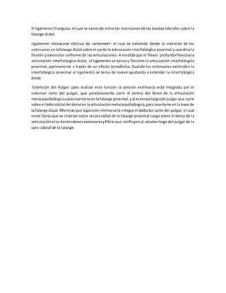 El ligamentoTriangular,el cual se extiende entre las inserciones de las bandas laterales sobre la
falange distal.
Ligamento retinacular oblicuo de Landsmeer: el cual se extiende desde la inserción de los
extensoresenlafalange distal sobre el ejede la articulación interfalángica proximal y coordina la
flexión y extensión uniforme de las articulaciones. A medida que el flexor profundo flexiona la
articulación interfalángica distal, el ligamento se tensa y flexiona la articulación interfalángica
proximal, pasivamente a través de un efecto tenodésico. Cuando los extensores extienden la
interfalángica proximal el ligamento se tensa de nuevo ayudando a extender la interfalángica
distal.
Extensión del Pulgar: para realizar esta función la porción extrínseca está integrada por el
extensor corto del pulgar, que paralelamente corre al centro del dorso de la articulación
metacarpofalángicaparainsertarse enlafalange proximal,yal extensorlargodel pulgar que corre
sobre el ladocubital del dorsoenla articulaciónmetacarpofalángica,parainsertarse en la base de
la falange distal.Mientrasque laporción intrínseca la integra el abductor corto del pulgar, el cual
envía fibras que se insertan sobre la cara radial de la falange proximal luego sobre el dorso de la
articulaciónalos dostendonesextensoresyfibrasque confluyen al aductor largo del pulgar de la
cara cubital de la falange.
 