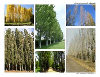 referente tipologico 3 - alameda




   casa fuentealba - san felipe - 4
 