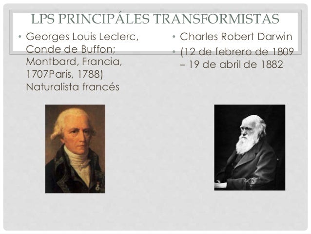 Antecedentes de la evolucion
