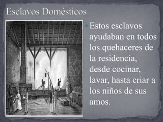 Esclavos DomésticosEstos esclavos ayudaban en todos los quehaceres de la residencia, desde cocinar, lavar, hasta criar a los niños de sus amos.