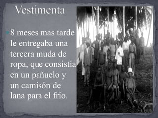 Vestimenta8 meses mas tarde le entregaba una tercera muda de ropa, que consistía en un pañuelo y un camisón de lana para el frio.