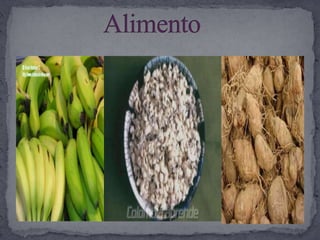 AlimentoPlátano