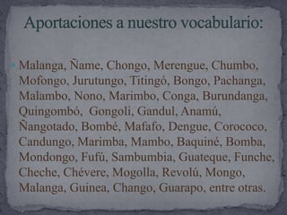 Aportaciones a nuestro vocabulario:Malanga, Ñame, Chongo, Merengue, Chumbo, Mofongo, Jurutungo, Titingó, Bongo, Pachanga, Malambo, Nono, Marimbo, Conga, Burundanga, Quingombó,  Gongoli, Gandul, Anamú, Ñangotado, Bombé, Mafafo, Dengue, Corococo, Candungo, Marimba, Mambo, Baquiné, Bomba, Mondongo, Fufú, Sambumbia, Guateque, Funche, Cheche, Chévere, Mogolla, Revolú, Mongo, Malanga, Guinea, Chango, Guarapo, entre otras.