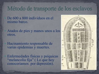 Método de transporte de los esclavosDe 600 a 800 individuos en el mismo barco.Atados de pies y manos unos a los otros.Hacinamiento responsable de varias epidemias y muertes.Enfermedades físicas y psíquicas “melancolía fija” ( Lo que hoy conoceríamos  por depresión). 