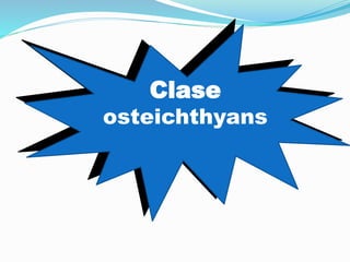 Clase
osteichthyans
 