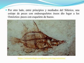  Por otro lado, entre principios y mediados del Silúrico, una
estirpe de peces con endoesqueletos óseos dio lugar a los
Osteíctios: peces con esqueleto de hueso.
https://axisosteologia.wordpress.com/tag/osteictios/
 