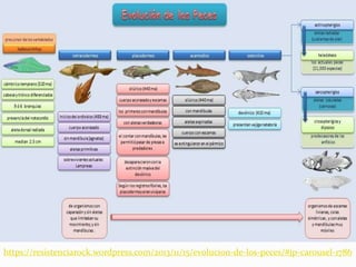 https://resistenciarock.wordpress.com/2013/11/15/evolucion-de-los-peces/#jp-carousel-1786
 
