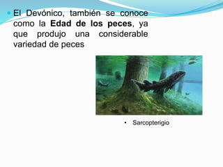  El Devónico, también se conoce
como la Edad de los peces, ya
que produjo una considerable
variedad de peces
• Sarcopterigio
 