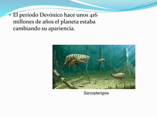 El período Devónico hace unos 416
millones de años el planeta estaba
cambiando su apariencia.
Sarcopterigios
 