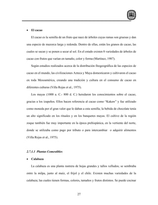 •   El cacao

    El cacao es la semilla de un fruto que nace de árboles cuyas ramas son gruesas y dan

una especie de mazorca larga y redonda. Dentro de ellas, están los granos de cacao, las

cuales se sacan y se ponen a secar al sol. En el estado existen 8 variedades de árboles de

cacao con frutos que varían en tamaño, color y forma (Martínez, 1987).

    Según estudios realizados acerca de la distribución fitogeográfica de las especies de

cacao en el mundo, las civilizaciones Azteca y Maya domesticaron y cultivaron el cacao

en toda Mesoamérica, creando una tradición y cultura en el consumo de cacao en

diferentes culturas (Villa Rojas et al., 1975).

    Los mayas (1000 a. C.- 800 d. C.) heredaron los conocimientos sobre el cacao,

gracias a los izapeños. Ellos hacen referencia al cacao como “Kakaw” y fue utilizado

como moneda por el gran valor que le daban a esta semilla; la bebida de chocolate tenía

un alto significado en los rituales y en los banquetes mayas. El cultivo de la región

zoque también fue muy importante en la época prehispánica, en la vertiente del norte,

donde se utilizaba como pago por tributo o para intercambiar o adquirir alimentos

(Villa Rojas et al., 1975).



2.7.1.1 Plantas Comestibles

•   Calabaza

    La calabaza es una planta rastrera de hojas grandes y tallos velludos; se sembraba

entre la milpa, junto al maíz, el frijol y el chile. Existen muchas variedades de la

calabaza; las cuales tienen formas, colores, tamaños y frutos distintos. Se puede cocinar



                                           27
 
