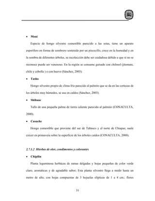 •   Moní

    Especie de hongo silvestre comestible parecido a las setas, tiene un aparato

esporífero en forma de sombrero sostenido por un piececillo, crece en la humedad y en

la sombra de diferentes árboles, su recolección debe ser cuidadosa debido a que si no se

reconoce puede ser venenoso. En la región se consume guisado con chilmol (jitomate,

chile y cebolla ) o con huevo (Sánchez, 2003).

•   Tasho

    Hongo silvestre propio de clima frío parecido al palmito que se da en las cortezas de

los árboles muy húmedos, se usa en caldos (Sánchez, 2003).

•   Shihuac

    Tallo de una pequeña palma de tierra caliente parecido al palmito (CONACULTA,

2000).

•   Cusuche

    Hongo comestible que proviene del sur de Tabasco y el norte de Chiapas; suele

crecer en primavera sobre la superficie de los árboles caídos (CONACULTA, 2000).



2.7.1.2 Hierbas de olor, condimentos y colorantes

•   Chipilín

    Planta leguminosa herbácea de ramas delgadas y hojas pequeñas de color verde

claro, aromáticas y de agradable sabor; Esta planta silvestre llega a medir hasta un

metro de alto, con hojas compuestas de 3 hojuelas elípticas de 1 a 4 cm.; flores



                                         31
 