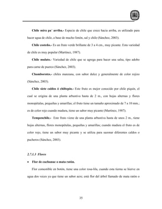 Chile mira pa´ arriba.- Especie de chile que crece hacia arriba, es utilizado para

hacer agua de chile, a base de mucho limón, sal y chile (Sánchez, 2003).

    Chile costeño.- Es un fruto verde brillante de 3 a 4 cm., muy picante. Esta variedad

de chile es muy popular (Martínez, 1987).

    Chile mulato.- Variedad de chile que se agrega para hacer una salsa, tipo adobo

para carne de puerco (Sánchez, 2003).

    Chamborotes.- chiles manzana, con sabor dulce y generalmente de color rojizo

(Sánchez, 2003).

    Chile siete caldos ó chiltepín.- Este fruto es mejor conocido por chile piquín, el

cual se origina de una planta arbustiva hasta de 2 m., con hojas alternas y flores

monopétalas, pequeñas y amarillas; el fruto tiene un tamaño aproximado de 7 a 10 mm.;

es de color rojo cuando madura, tiene un sabor muy picante (Martínez, 1987).

    Tempenchile.- Este fruto viene de una planta arbustiva hasta de unos 2 m., tiene

hojas alternas, flores monopétalas, pequeñas y amarillas; cuando madura el fruto es de

color rojo, tiene un sabor muy picante y se utiliza para sazonar diferentes caldos o

pucheros (Sánchez, 2003).



2.7.1.3 Flores

•   Flor de cuchunuc o mata ratón.

    Flor comestible en botón, tiene una color rosa-lila, cuando esta tierna se hierve en

agua dos veces ya que tiene un sabor acre; está flor del árbol llamado de mata ratón o




                                         35
 