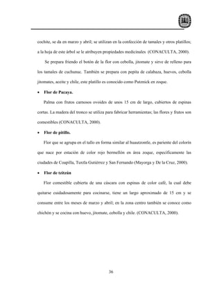 cochite, se da en marzo y abril; se utilizan en la confección de tamales y otros platillos;

a la hoja de este árbol se le atribuyen propiedades medicinales (CONACULTA, 2000).

    Se prepara friendo el botón de la flor con cebolla, jitomate y sirve de relleno para

los tamales de cuchunuc. También se prepara con pepita de calabaza, huevos, cebolla

jitomates, aceite y chile, este platillo es conocido como Putznick en zoque.

•   Flor de Pacaya.

    Palma con frutos carnosos ovoides de unos 15 cm de largo, cubiertos de espinas

cortas. La madera del tronco se utiliza para fabricar herramientas; las flores y frutos son

comestibles (CONACULTA, 2000).

•   Flor de pitillo.

    Flor que se agrupa en el tallo en forma similar al huautzontle, es pariente del colorín

que nace por estación de color rojo bermellón en área zoque, específicamente las

ciudades de Coapilla, Tuxtla Gutiérrez y San Fernando (Mayorga y De la Cruz, 2000).

•   Flor de tzitzún

    Flor comestible cubierta de una cáscara con espinas de color café, la cual debe

quitarse cuidadosamente para cocinarse, tiene un largo aproximado de 15 cm y se

consume entre los meses de marzo y abril; en la zona centro también se conoce como

chichón y se cocina con huevo, jitomate, cebolla y chile. (CONACULTA, 2000).




                                          36
 